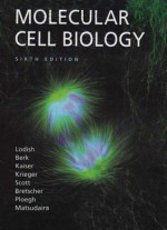 Molecular Cell Biology & eBook - Harvey Lodish, Arnold Berk, Chris A. Kaiser, Monty Krieger, Matthew P. Scott, Anthony Bretscher, Hidde Ploegh, Paul T. Matsudaira