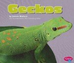 Geckos - Joanne Mattern