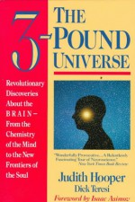 The Three Pound Universe - Judith Hooper