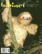 Cabinet Issue 29: Sloth - Sina Najafi, Dan Perjovschi