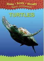 Turtles (Slimy, Scaly, Deadly Reptiles And Amphibians) - Tim Harris