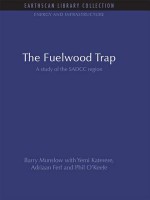 The Fuelwood Trap: A Study of the Sadcc Region - Barry Munslow, Yemi Katerere, Adriaan Ferf, Phil O'Keefe