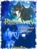 Runaway - Amanda Steiger