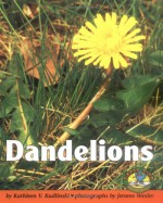 Dandelions - Kathleen V. Kudlinski, Jerome Wexler
