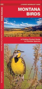 Montana Birds: A Folding Pocket Guide to Familiar Species - James Kavanagh