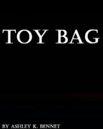 Toy Bag - Ashley K. Bennet