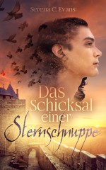 Das Schicksal einer Sternschnuppe - Serena C. Evans