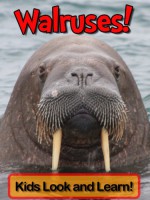 Walruses! Learn About Walruses and Enjoy Colorful Pictures - Look and Learn! (50+ Photos of Walruses) - Becky Wolff