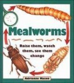 Mealworms: Raise them, watch them, see them change - Adrienne Mason