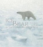 Ice Bear: In the Steps of the Polar Bear - Nicola Davies, Gary Blythe