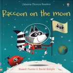 Raccoon and the Moon - Russell Punter