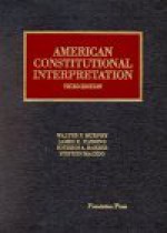 American Constitutional Interpretation (University Casebook) - Stephen Macedo