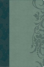 The Study Bible for Women, Teal/Sage LeatherTouch - Dorothy Kelley Patterson, Rhonda Harrington Kelley, Holman Bible Publisher