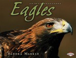 Eagles - Sandra Markle