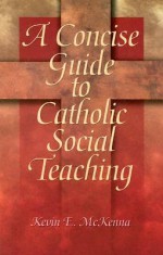 A Concise Guide to Catholic Social Teaching (Concise Guide Series) - Kevin E. McKenna, Ave Maria Press