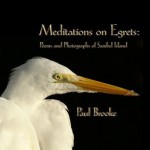 Meditations on Egrets: Poems and Photographs of Sanibel Island - Paul Brooke, Photography