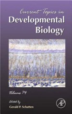 Current Topics in Developmental Biology - Schatten, Gerald P. Schatten