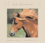 The Allure Of Horses - Bob Langrish