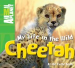 My Life in the Wild: Cheetah - Phil Whitfield, Animal Planet