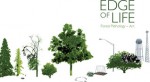 The Edge of Life: Forest Pathology Art - David Kulhavy