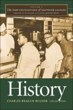 The New Encyclopedia of Southern Culture, Volume 3: History - Charles Reagan Wilson, Ann J. Abadie