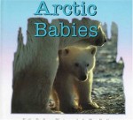 Arctic Babies - Kathy Darling