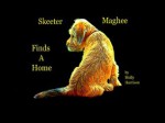 Skeeter Maghee Finds a Home - Molly Harrison