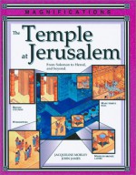 The Temple At Jerusalem - Jacqueline Morley, John James