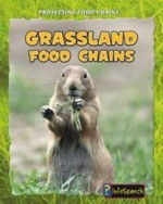 Grassland Food Chains. Buffy Silverman - Buffy Silverman, Buffy Silverman