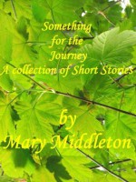 Something for the Journey - Mary Middleton