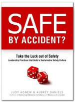 Safe by Accident? - Judy Agnew, Aubrey C. Daniels