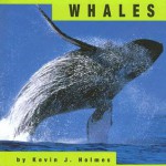 Whales - Kevin J. Holmes