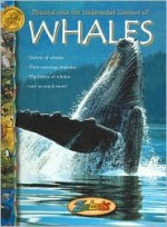 Whales - John Bonnett Wexo