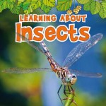 Learning about Insects - Catherine Veitch