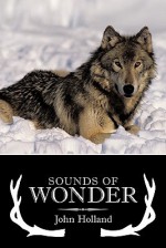 Sounds of Wonder - John Holland