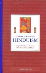 Understanding Hinduism: Origins, Beliefs, Practices, Holy Texts, Sacred Places - Vasudha Narayanan