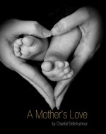 A Mother's Love (short story #1 in Emily series) - Chantal Bellehumeur