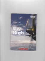 Sky High: Two Men Who Couldn't Keep Their Feet on the Ground - Chana Stiefel