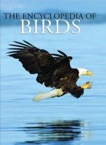 The Encyclopedia of Birds - Per Christiansen