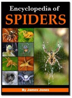 Encyclopedia of Spiders - James Jones, Beverley Young