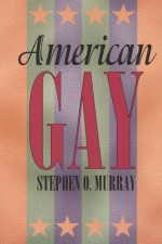 American Gay - Stephen O. Murray