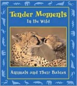 Tender Moments in the Wild: Animals and Their Babies - Stephanie Maze