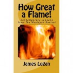 How Great a Flame!: Contemporary Lessons from The Wesleyan Revival - James Logan