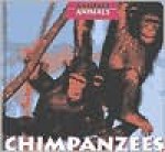 Chimpanzees - Daniel Greenberg