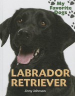 Labrador Retriever - Jinny Johnson