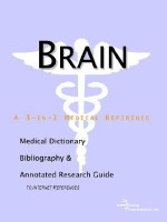 Brain - A Medical Dictionary, Bibliography, and Annotated Research Guide to Internet References - ICON Health Publications