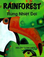 Rainforest - Helen Cowcher