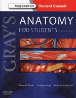 Gray's Anatomy for Students: With STUDENT CONSULT Online Access, 3e - Richard Drake PhD FAAA, A. Wayne Vogl PhD FAAA, Adam W. M. Mitchell MBBS FRCS FRCR