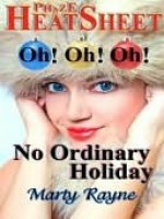 No Ordinary Holiday - Marty Rayne