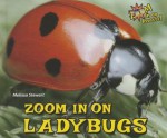 Zoom in on Ladybugs - Melissa Stewart